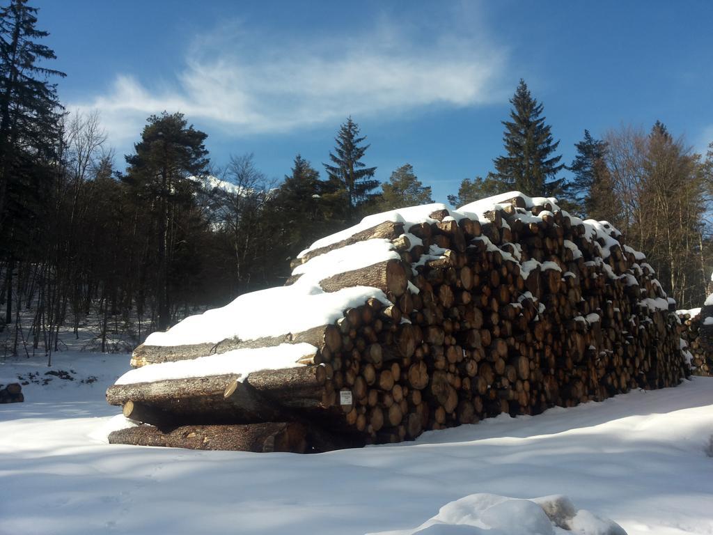 Appartamenti La Val Andalo Exterior foto