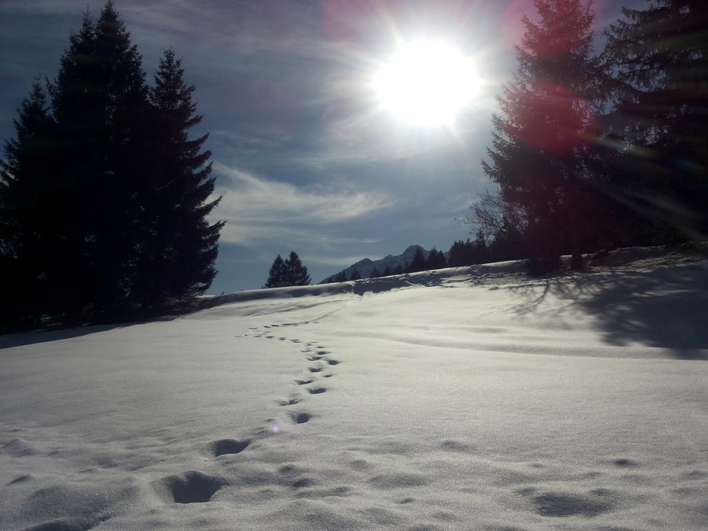 Appartamenti La Val Andalo Exterior foto